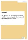 Die Strategie des Diversity Management und ihre Um