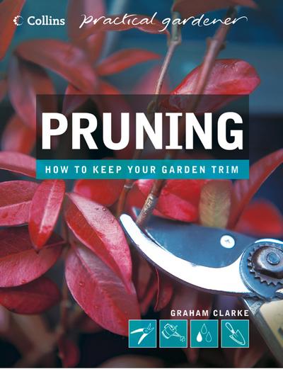 Pruning