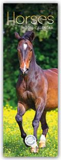 Horses - Pferde 2026 - Slimline-Kalender