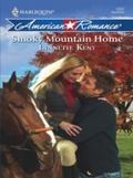 Smoky Mountain Home (Mills & Boon Love Inspire