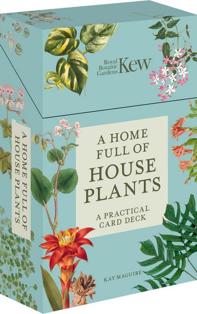 A Home Full of House Plants