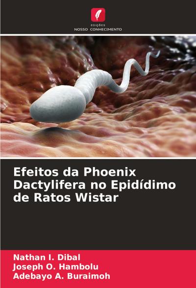 Efeitos da Phoenix Dactylifera no Epidídimo de Ratos Wistar