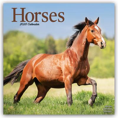Horses - Pferde 2025 - 16-Monatskalender