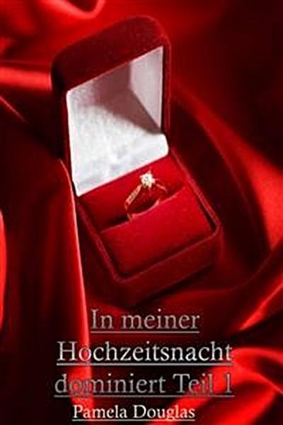In meiner Hochzeitsnacht dominiert Teil 1