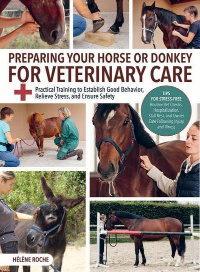 Preparing Your Horse or Donkey for Veterinary Care