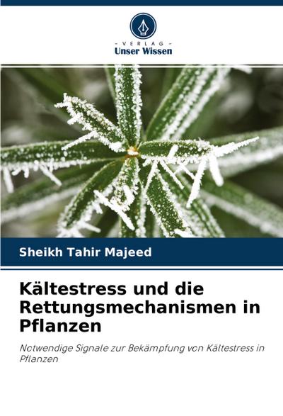 Kältestress und die Rettungsmechanismen in Pflanzen