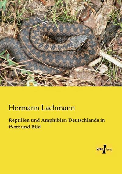 Reptilien und Amphibien Deutschlands in Wort und Bild