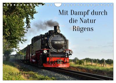 Mit Dampf durch die Natur Rügens (Wandkalender 2026 DIN A4 quer), CALVENDO Monatskalender