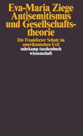 Antisemitismus und Gesellschaftstheorie