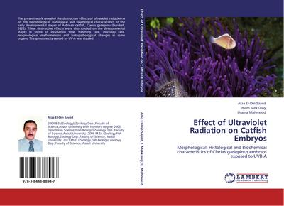 Effect of Ultraviolet Radiation on Catfish Embryos