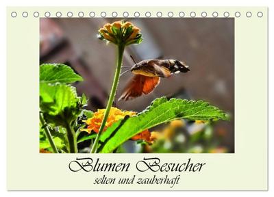 Blumen-Besucher - selten und zauberhaft (Tischkalender 2024 DIN A5 quer), CALVENDO Monatskalender