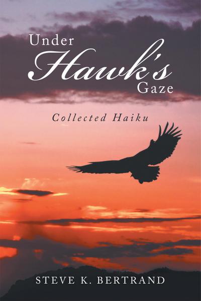 Under Hawk’S Gaze