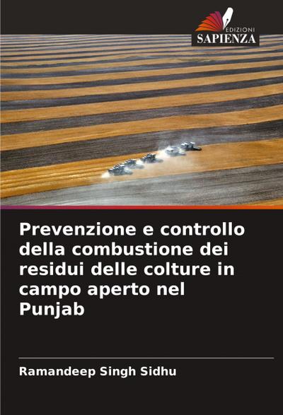Prevenzione e controllo della combustione dei residui delle colture in campo aperto nel Punjab