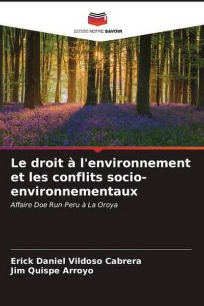 Le droit à l’environnement et les conflits socio-environnementaux