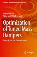 Optimization of Tuned Mass Dampers