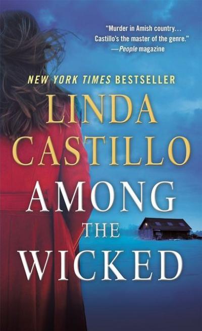 Among the Wicked (Kate Burkholder, Band 8)