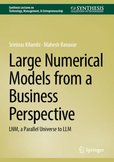 Large Numerical Models from a Business Perspective