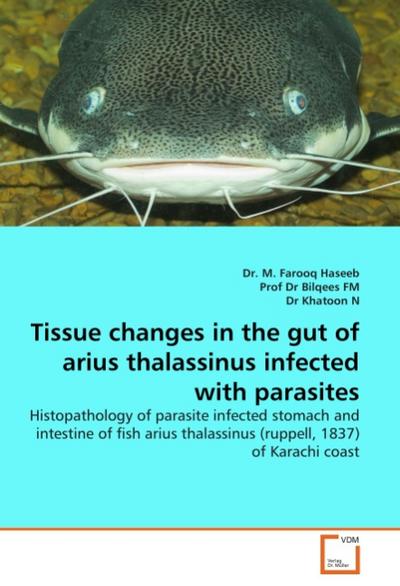 Tissue changes in the gut of arius thalassinus infected with parasites