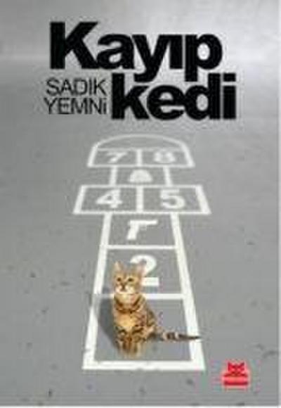 Kayip Kedi