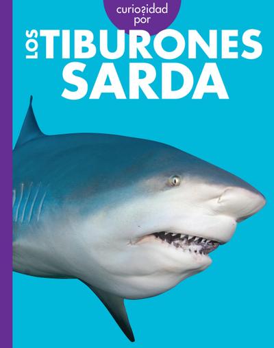 Curiosidad Por Los Tiburones Sarda