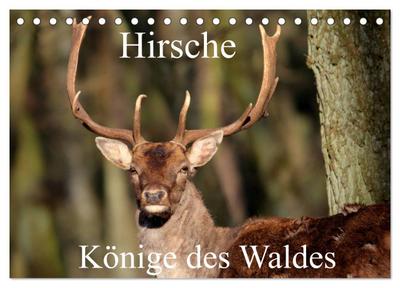 Hirsche - Könige des Waldes/Geburtstagskalender (Tischkalender 2024 DIN A5 quer), CALVENDO Monatskalender