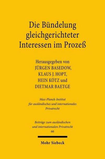 Die Bündelung gleichgerichteter Interessen im Prozeß