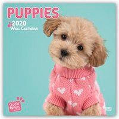 Huijing, M: Puppy Love - Hundewelpen 2020 18-Monatskalender