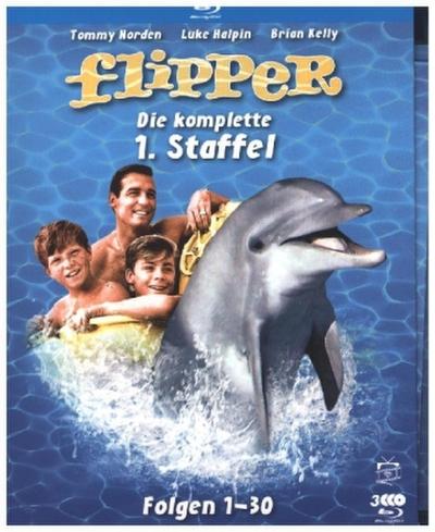 Flipper