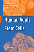 Human Adult Stem Cells