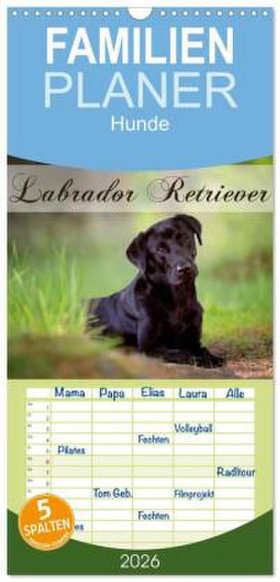 Familienplaner 2026 - Labrador Retriever mit 5 Spalten (Wandkalender, 21 x 45 cm) CALVENDO