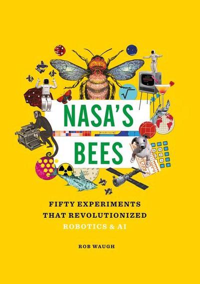 Nasa’s Bees
