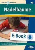 Nadelbäume