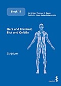 Herz und Kreislauf, Blut und Gefäße