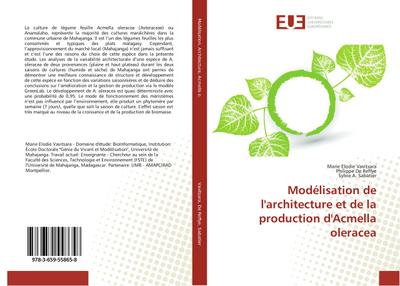 Modélisation de l’architecture et de la production d’Acmella oleracea