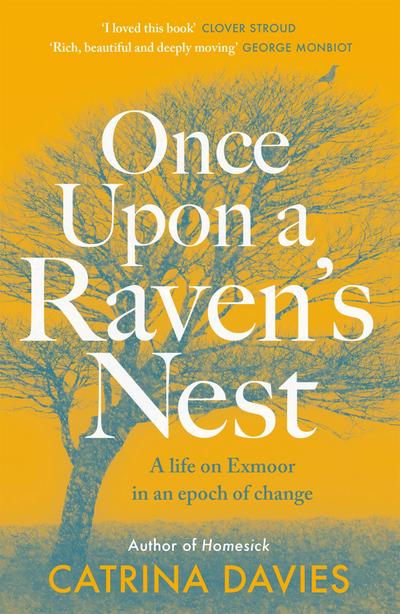 Once Upon a Raven’s Nest