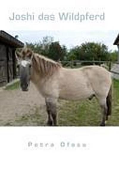 Joshi das Wildpferd
