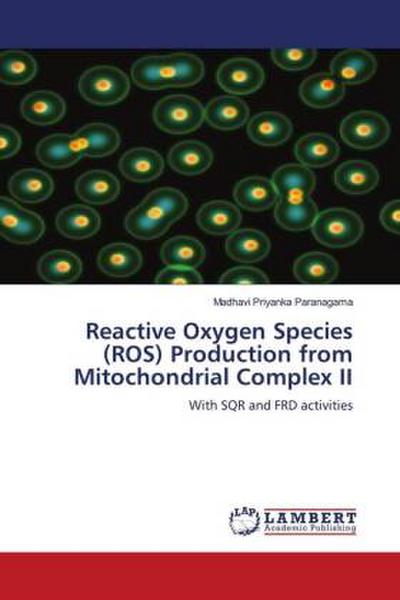 Reactive Oxygen Species (ROS) Production from Mitochondrial Complex II