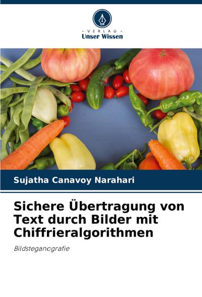 Sichere Übertragung von Text durch Bilder mit Chiffrieralgorithmen