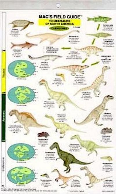 Mac’s Field Guides: North American Dinosaurs