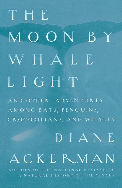 Moon By Whale Light