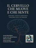 Il Cervello che muove e che sente