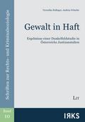 Gewalt in Haft