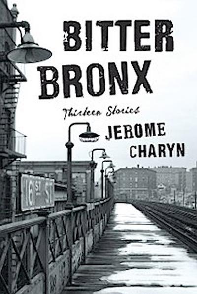 Bitter Bronx (eBook, EPUB) - Jerome Charyn