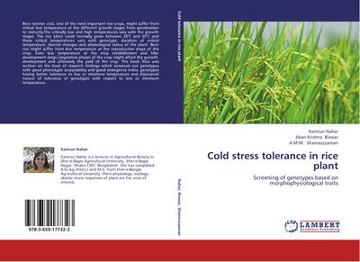Cold stress tolerance in rice plant