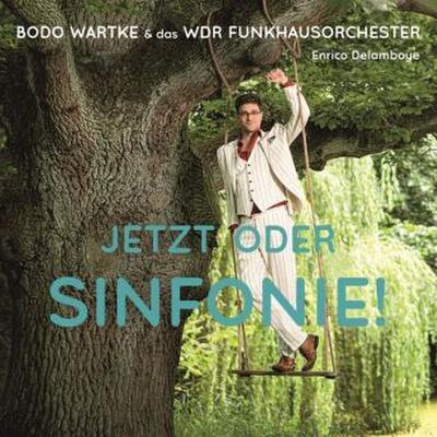Jetzt oder Sinfonie !, 2 Schallplatten