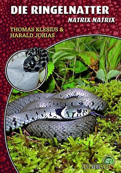 Die Ringelnatter
