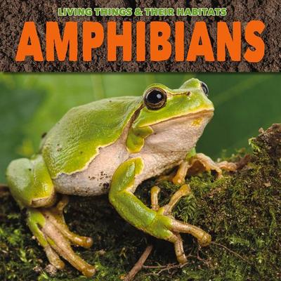 Amphibians