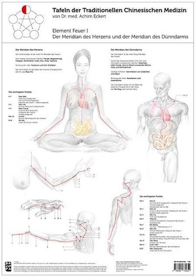 Tao Training Meridiantafel Feuer 1 Element
