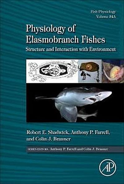 Physiology of Elasmobranch Fishes: Structure and Interaction with Environment. Pt.A