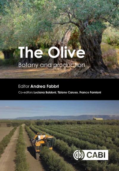 Olive